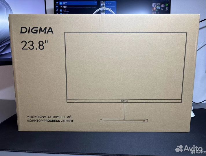 Digma Progress 24P501F 23.8 100 Hz