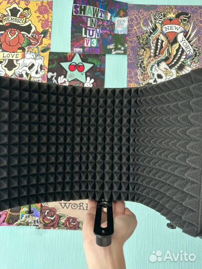 Акустический экран для микрофона