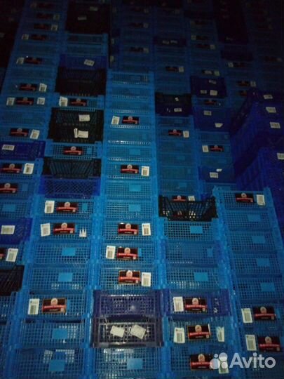 Пластиковые ящики для овощей и фруктов