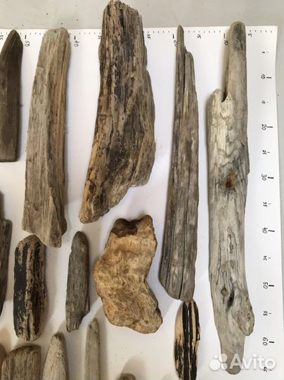 Дрифтвуд набор