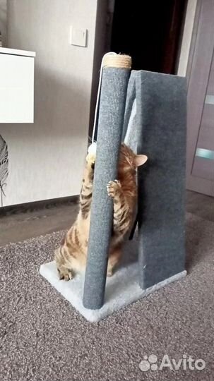 Когтеточка домик для кошки, 70 см