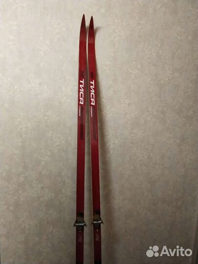 Беговые лыжи тиса fisher