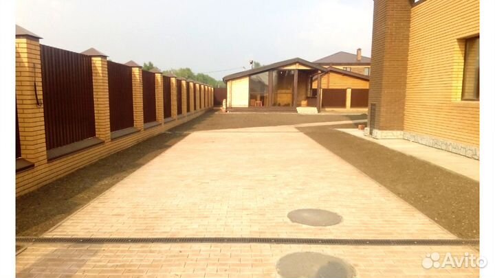 Газон посевной