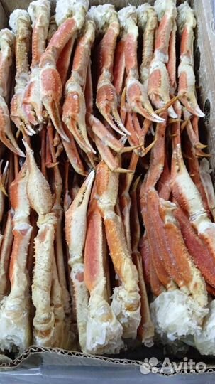 Клешни краба стригуна с Камчатки
