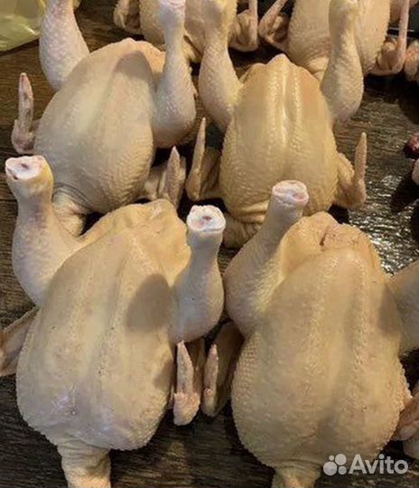 Курочки деревенские