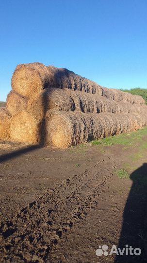 Солома гороховая в рулонах