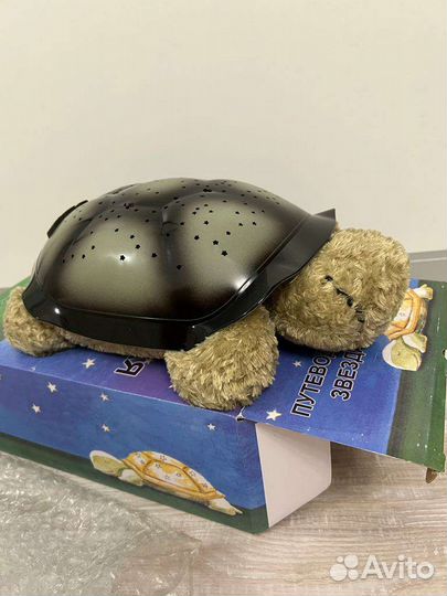 Ночник черепаха