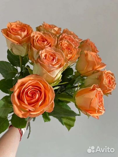 Цветы розы букет