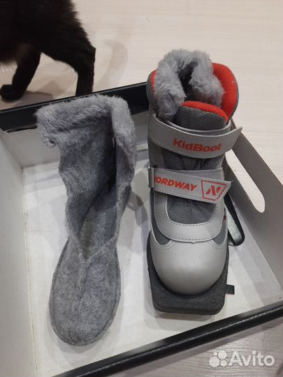 Лыжные ботинки