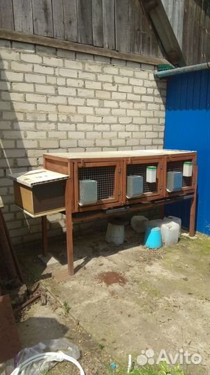 Клетки для кроликов