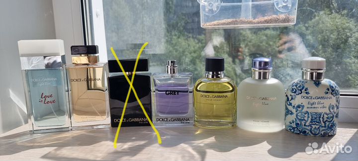 Dolce Gabbana light blue оригиналы
