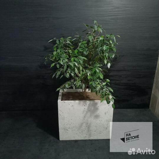 Кашпо, Вазоны, горшки для цветов