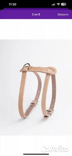 Шлейка для маленькой собаки