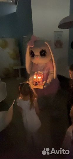 Услуги аниматора Зайка