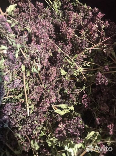 Зверобой, Чабрец,душица