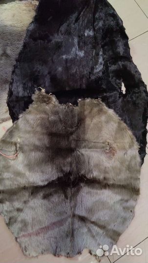 Шкурки морского котика.Выделаные