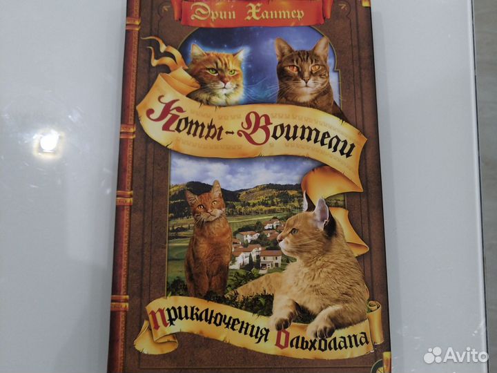 Коты воители приключения Ольхолапа