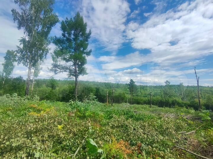 Участок 13 сот. (ИЖС)