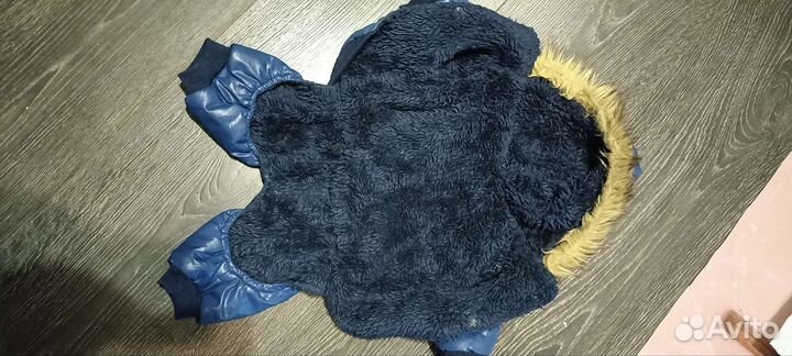 Комбинезон для маленькой собаки