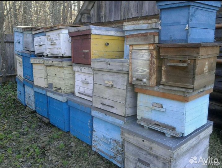 Улики для пчел