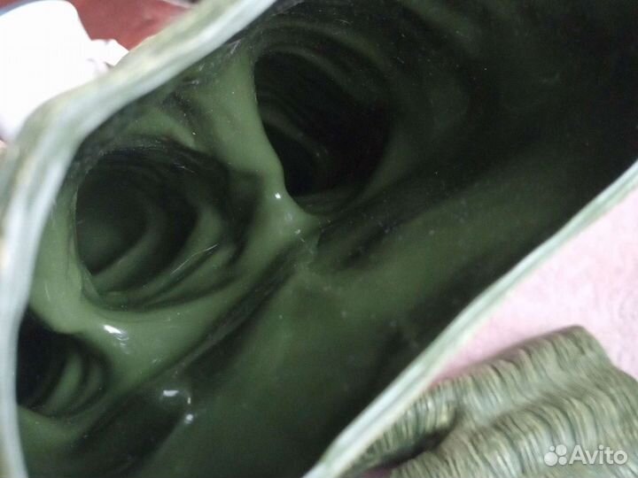 Лапы динозавра