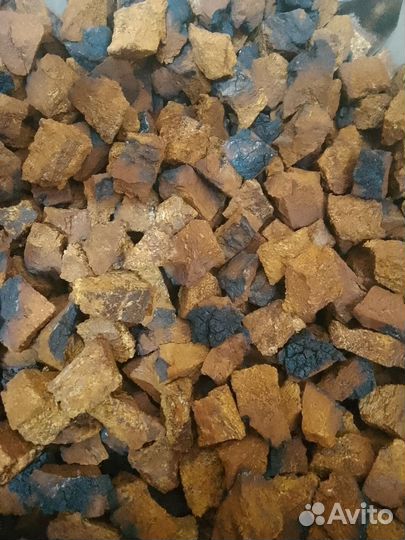 Чага кусочки 2*2 см, 1 кг