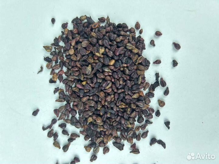 Виноградная косточка