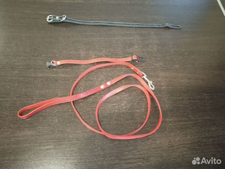 Кожаные ошейники и поводок для щенка