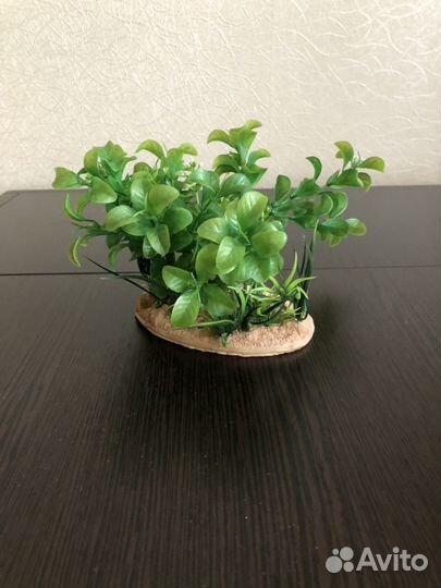 Декор для аквариума