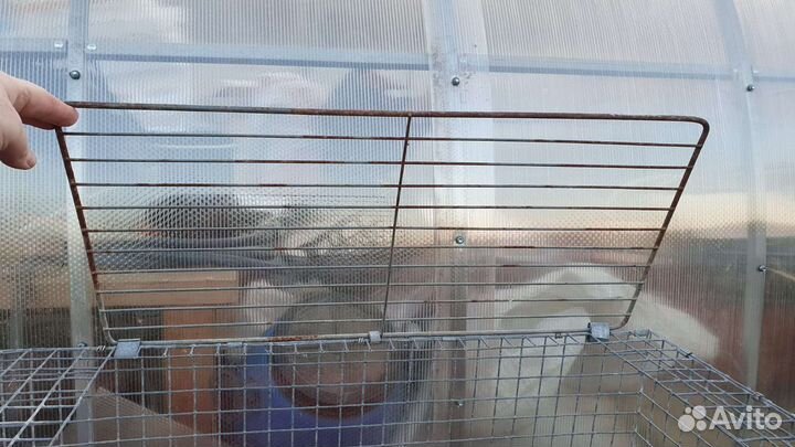 Клетки для кур, кроликов