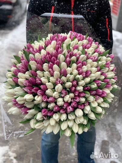 Крупный тюльпан с доставкой