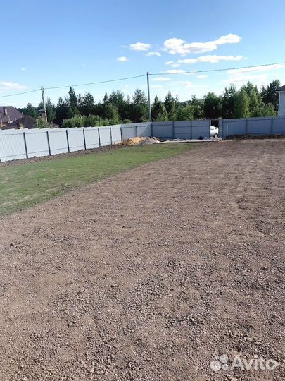 Газон посевной