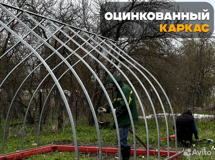 Теплицы от производителя