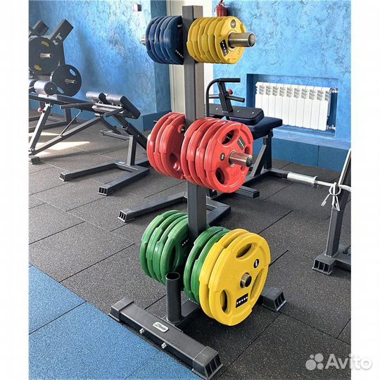 Подставка для олимпийских грифов и дисков AV608/80