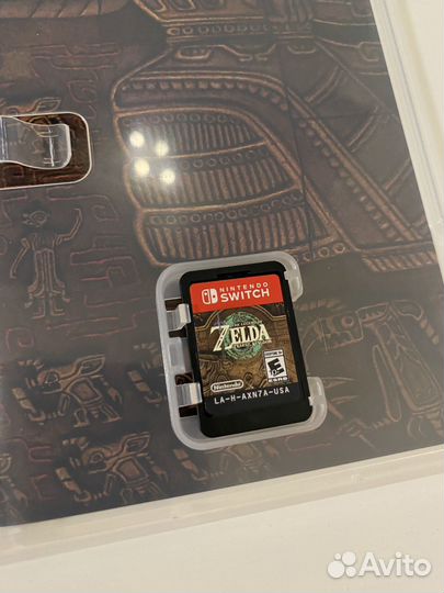 The Legend of Zelda: Tears of Kingdom