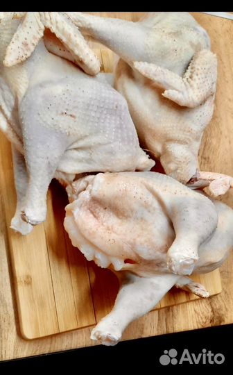 Мясо домашнего бройлера