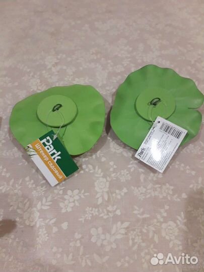 Кувшинка прудовая