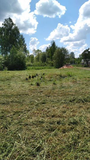 Участок 10 сот. (СНТ, ДНП)