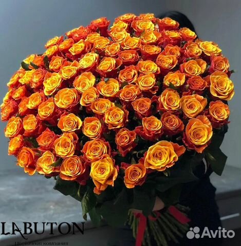 Букет из оранжевых Роз 71шт
