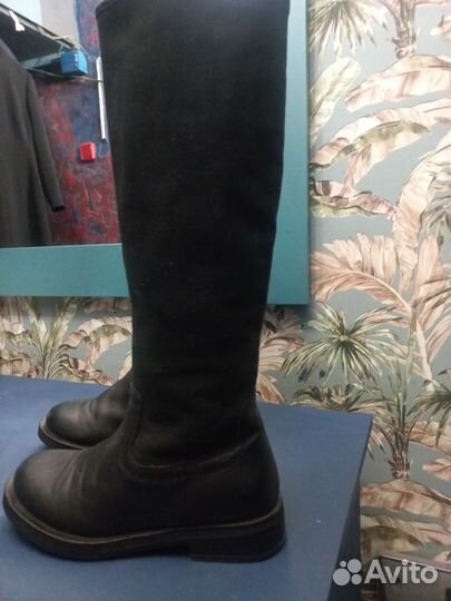 Сапоги tendance зима