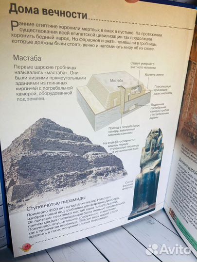 Книга «Мумии и пирамиды»
