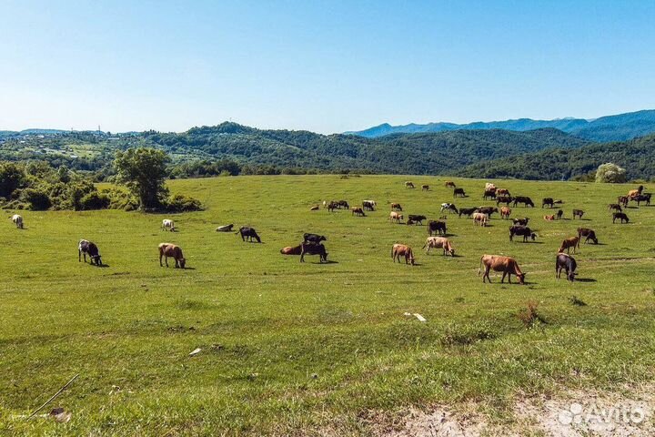 Джип-тур по каньонам Псахо