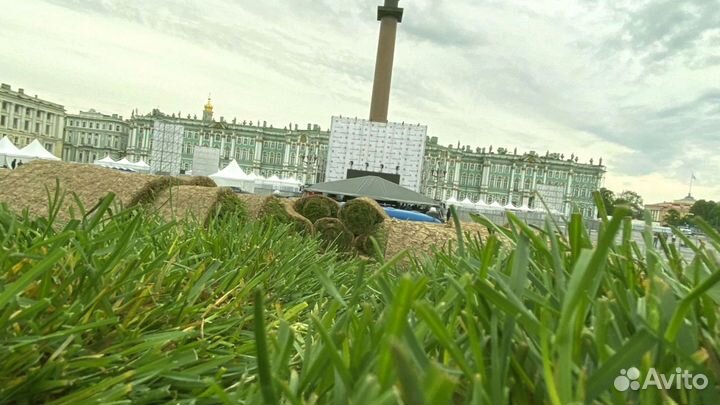 Рулонный газон