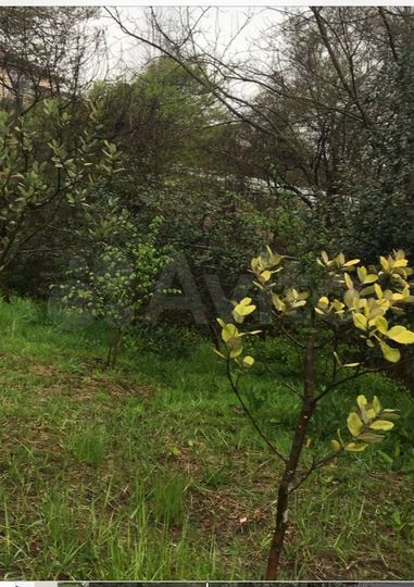 Участок 4,6 сот. (ИЖС)