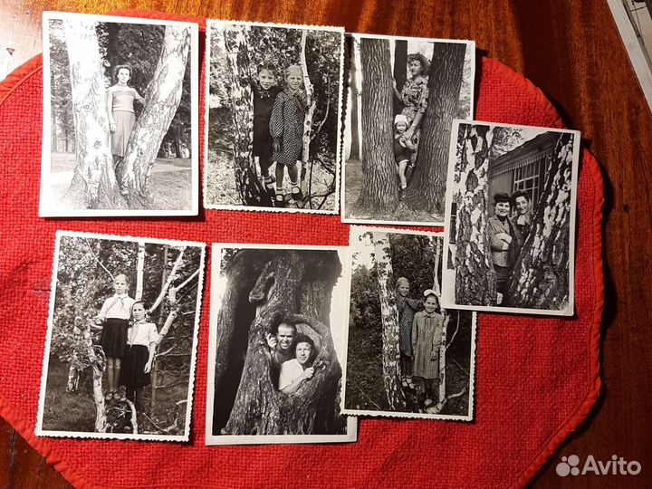 Фото«дупло» 1940/50е. годы СССР 7 штук