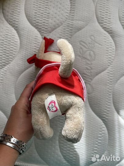 Собака чихуа Cih Cih Love