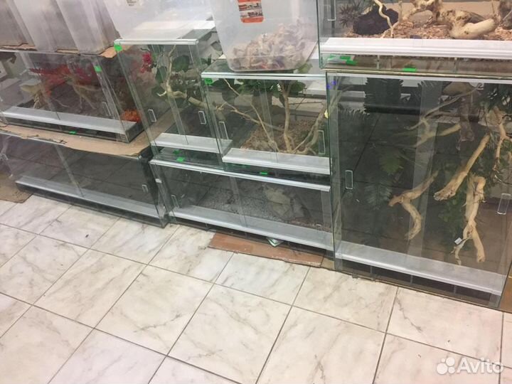 Террариум для рептилий