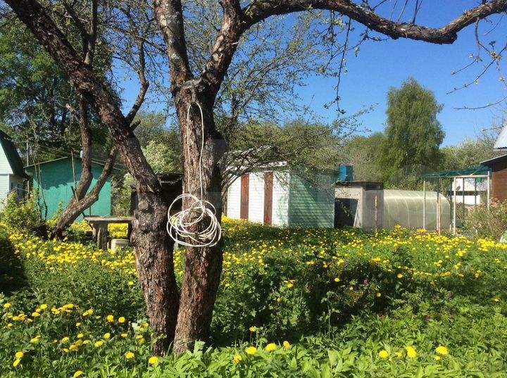 Дом 44 м² на участке 4,5 сот.