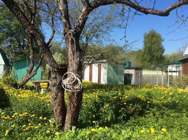 Дом 44 м² на участке 4,5 сот.