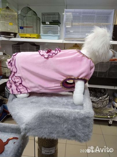 Одежда для собак мелких пород и средних пород